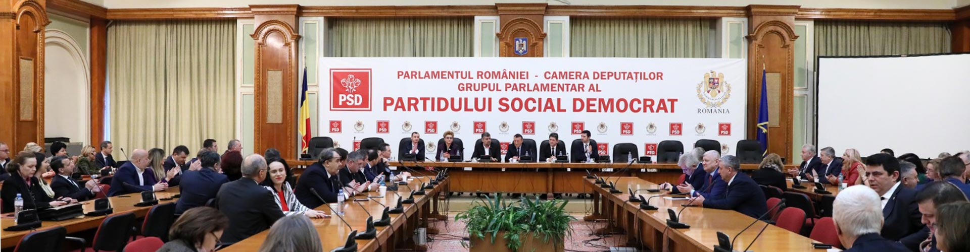 Consiliul Politic NaÈ›ional Partidul Social Democrat Psdpartidul Social Democrat Psd